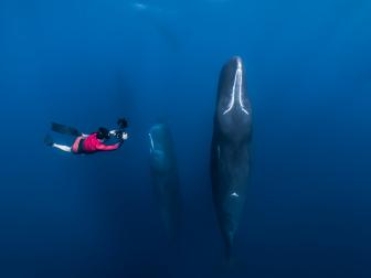 Patrick up close to the sleeping giants, sperm whales.